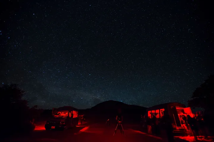 a traffic light at night