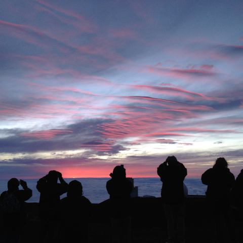 a group of people standing in front of a sunset